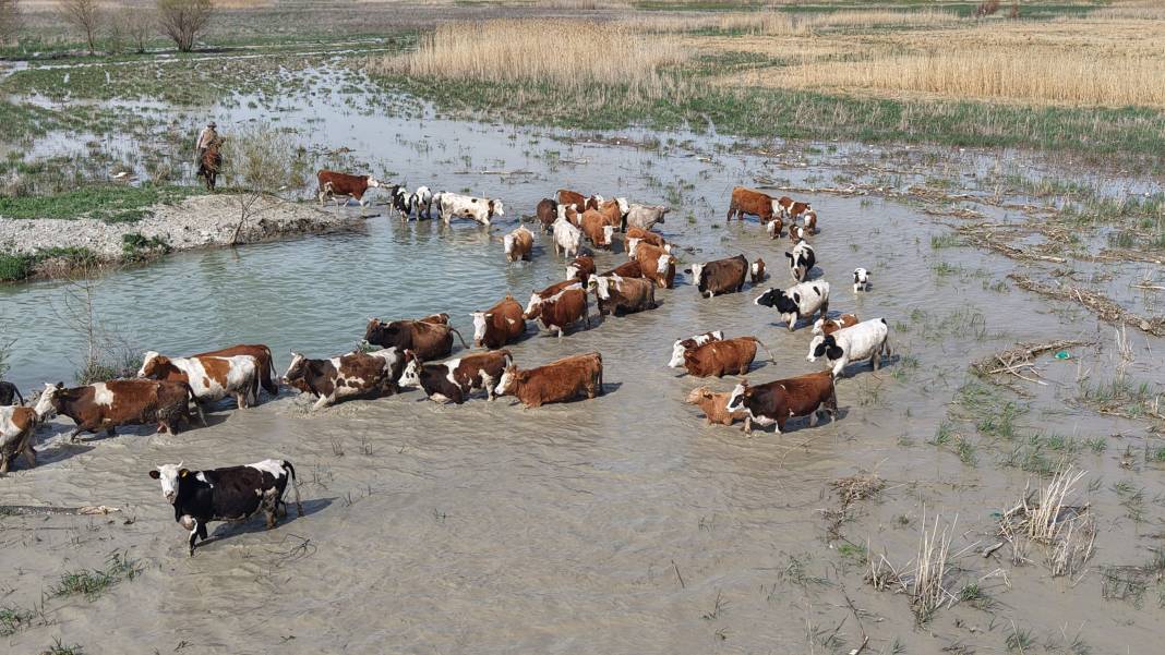 Nasreddin Hoca’nın ya tutarsa dediği Konya’daki göl 8 yıl aradan sonra su tuttu 7
